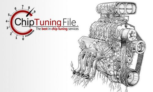 Chip tuning file service - power &amp; eco tuning - dpf/fap &amp; egr off - lambda off