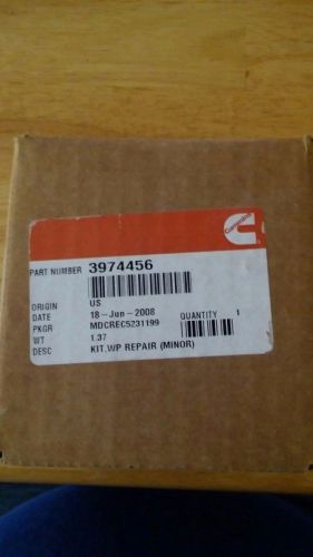 Cummins water pump impeller minor kit #3974456