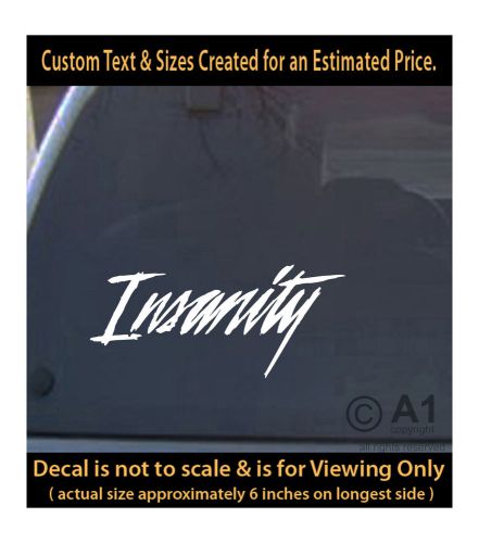 Insanity funny 6 inch vinyl decal people crazy car truck home more swp3_283