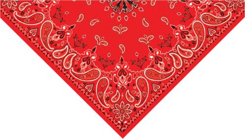 Zanheadgear 3-in-1 bandanna red paisley - bv003