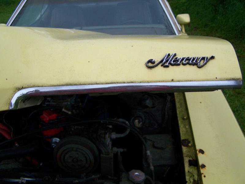 1973 mercury cougar emblem