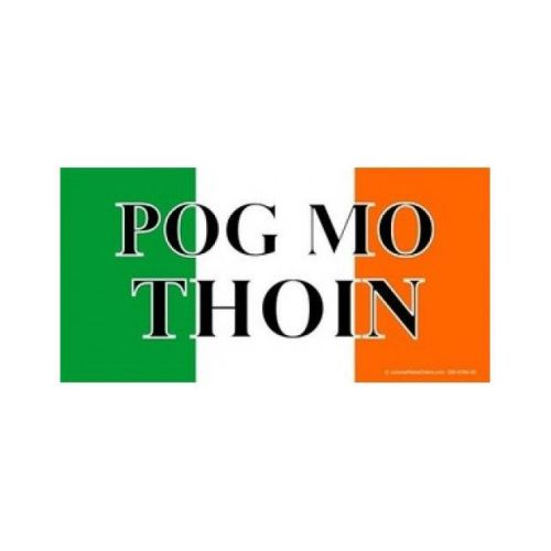 Pog mo thoin on irish flag photo license plate