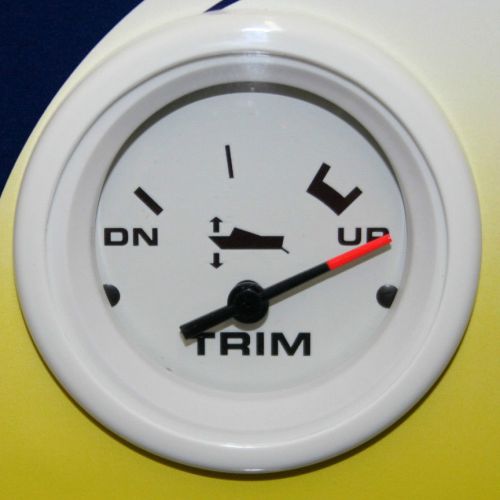 Sierra arctic white trim gauge - mercury