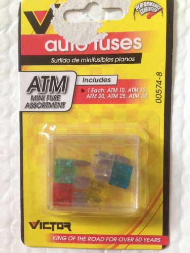 Fuse auto atm mini fuse assortment