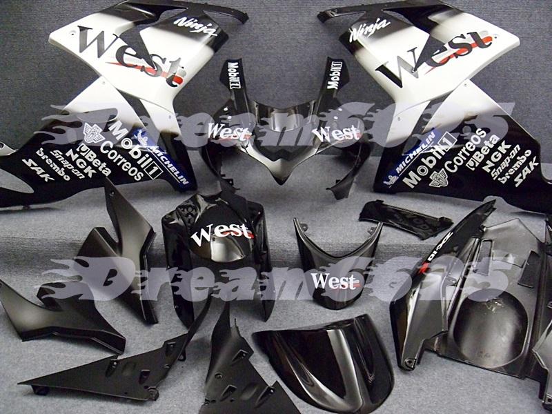 Fairing for zx10r zx-10r zx 10r ninja 04 05 2004 2005 04 05