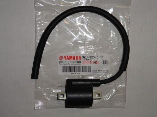 Ignition coil oem yamaha blaster yfs200 200 raptor yfm250 yfm350 yfm 250 350