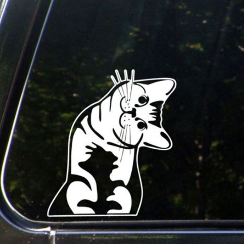 Funny head tilt cat car styling sticker | cool pet puppy decal car window rear