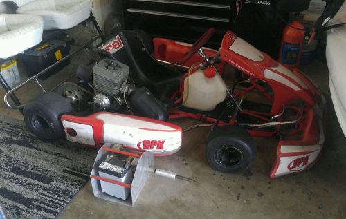 Birel kart