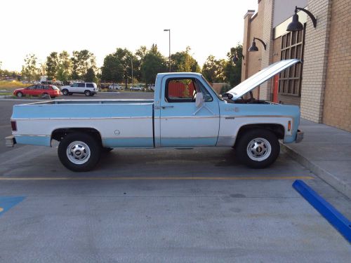 1977 chevy truck c-20