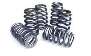 Pac-1223-32 1200 series ford 4.6l 4v 32 valve springs 1.105&#034; od .500&#034; lift