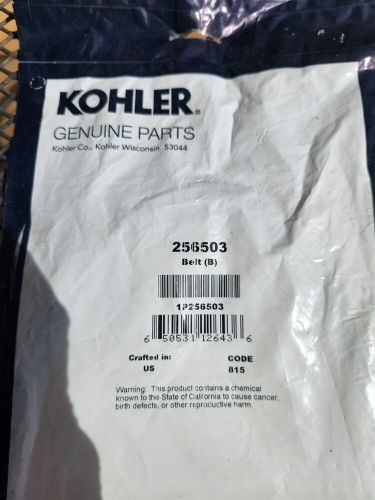 Genuine oem kohler 256503 seawater pump belt