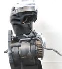 2006 harley sportster 1200 custom engine motor