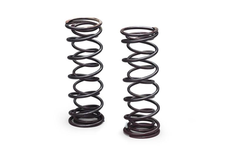 Progressive suspension spring (kit d)  00-1170