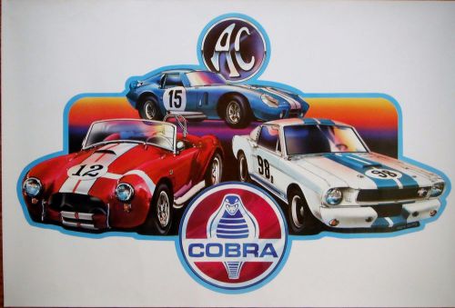 Carroll shelby ac cobras 24&#034;x36&#034; color poster. cars #12, #15, #98.