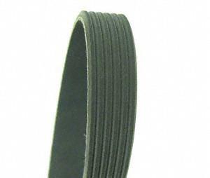 Cadna 882k6 serpentine belt