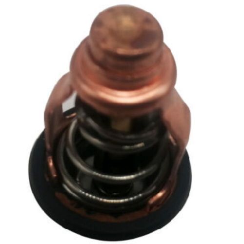 Yamaha thermostat 4 stroke f80b f100d outboard marine 6d9-12411-00