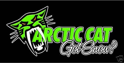  arctic cat decals for your truck bidding on a pair!!!!