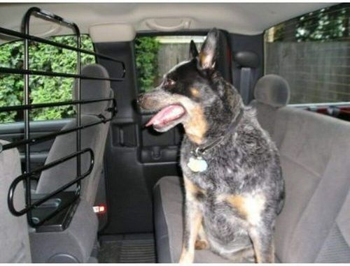 Zookeeper vehicle pet barrier: adjustable universal for cars, trucks, suvs -...