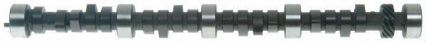 Sealed power performance camshaft cs1138r