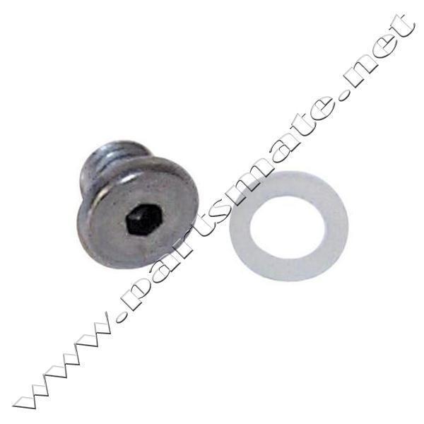 Sierra 4255 e-tec drain screw / e-tec drain screw