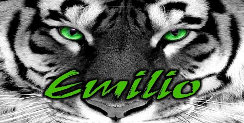 Personalized monogrammed custom license plate auto car tag tiger  green  eyes