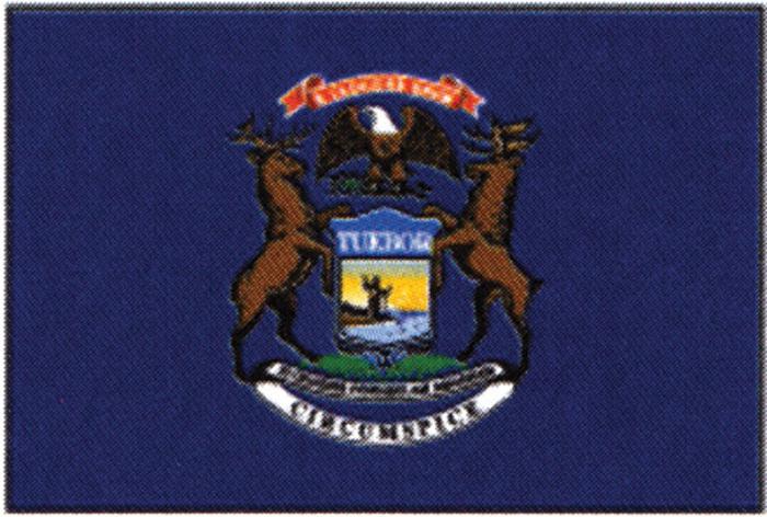 Taylormade michigan flag 12" x 18" 93108