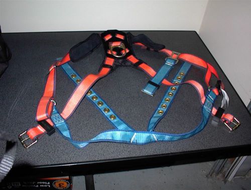 Safety harness