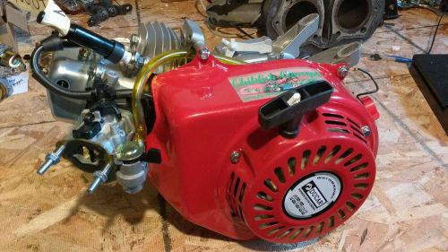 Kart engine racing clone 196cc akra adult unrestricted