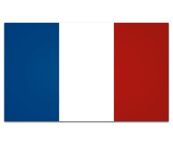 France flag decal 5"x3" french vinyl car window bumper sticker zu1