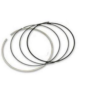 Moose racing piston ring set for kawasaki teryx brute force 750